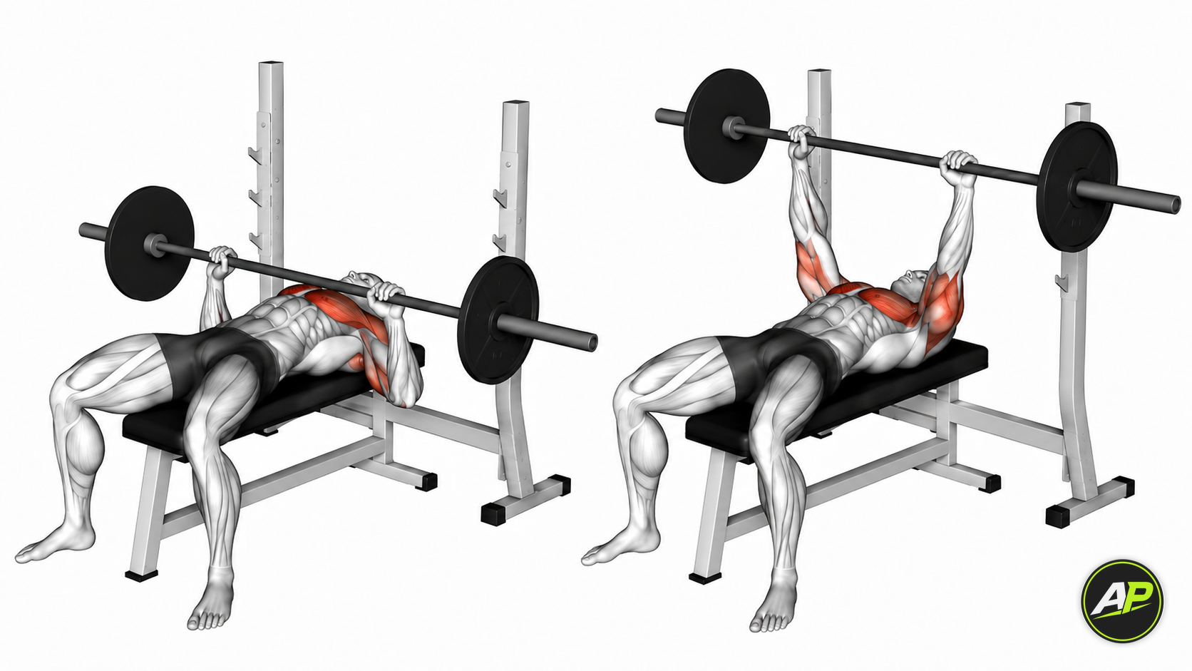 Barbell Bench Press