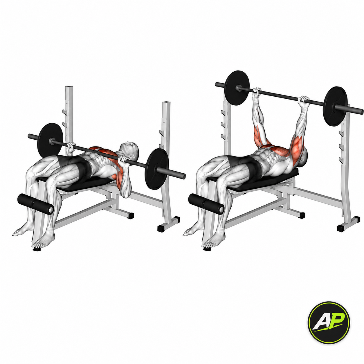 Barbell Decline Bench Press
