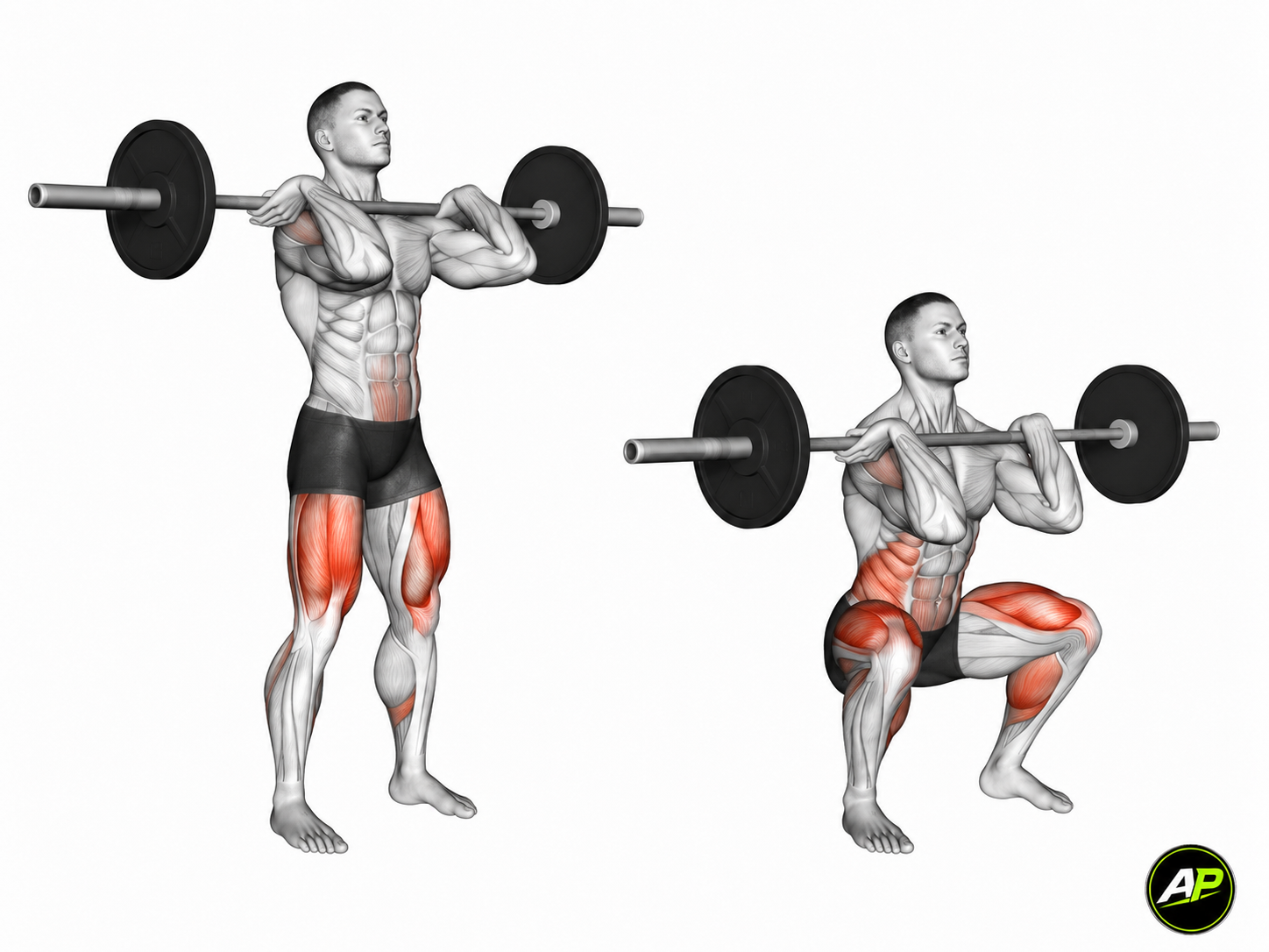 Barbell Front Squat