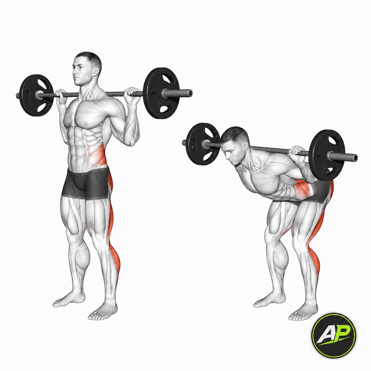 Barbell Good Morning