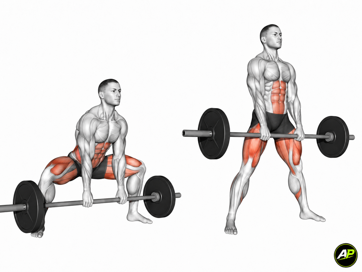 Barbell Sumo Deadlift