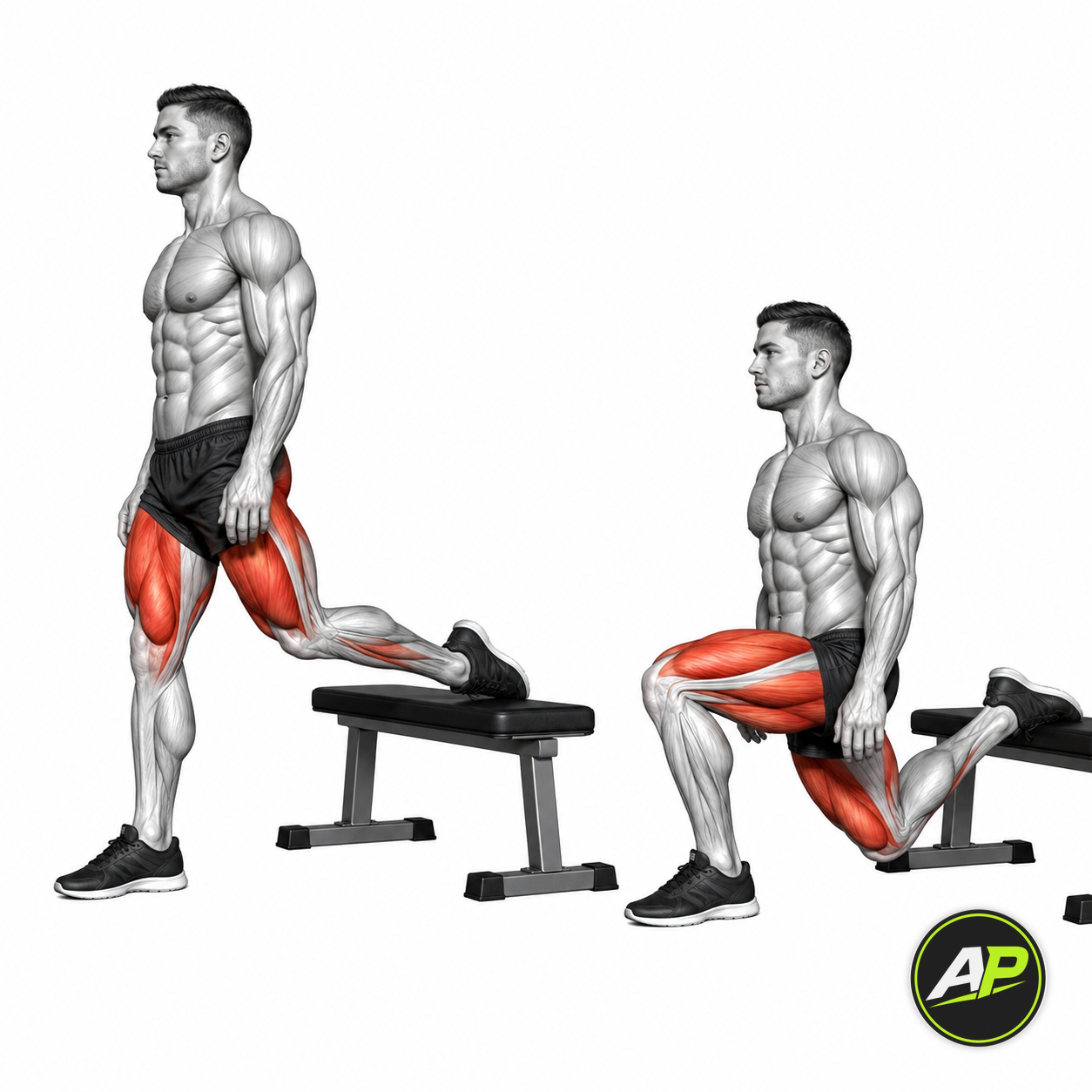 Bench Bulgarian Split Squat
