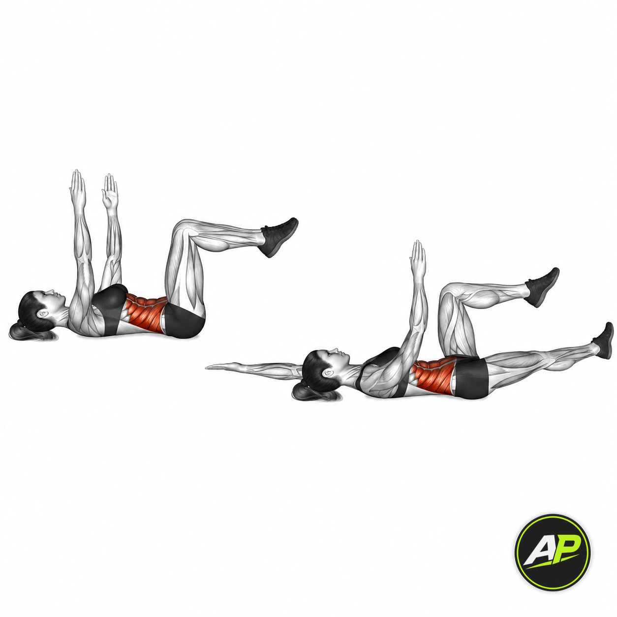 Bodyweight Dead Bug
