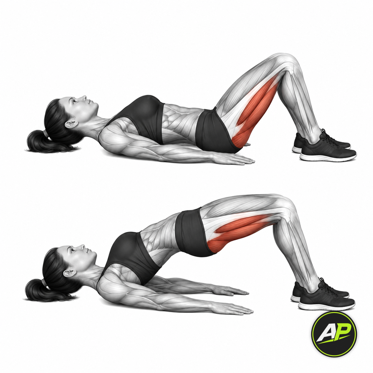 Bodyweight Glute Bridge