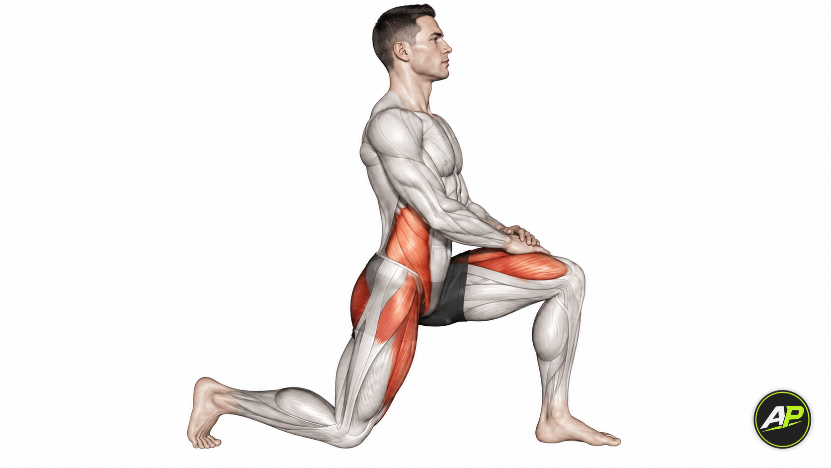 Bodyweight Hip Flexor Stretch