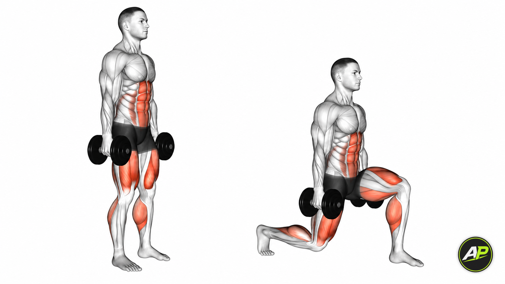 Bodyweight Lunge