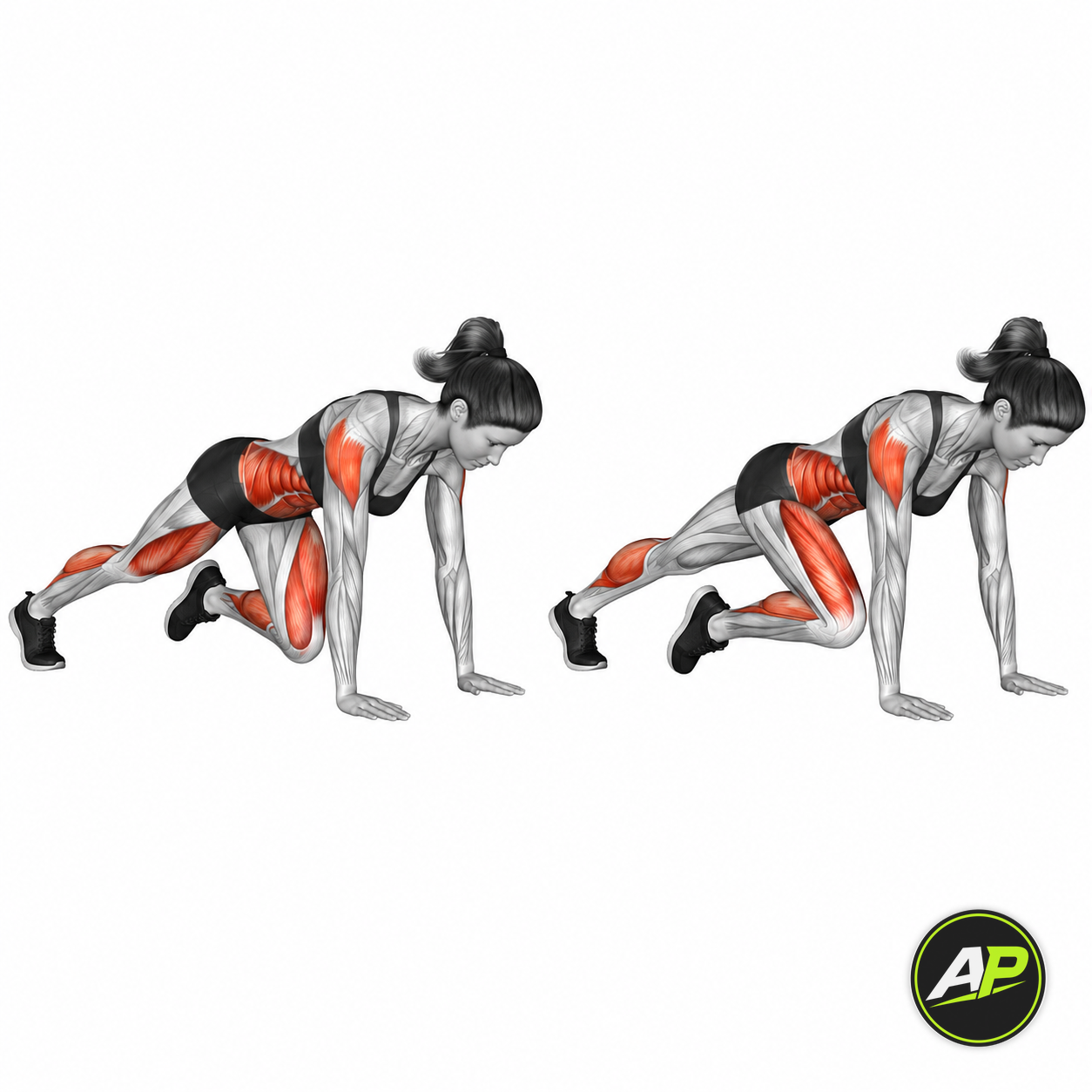Bodyweight Mountain Climber