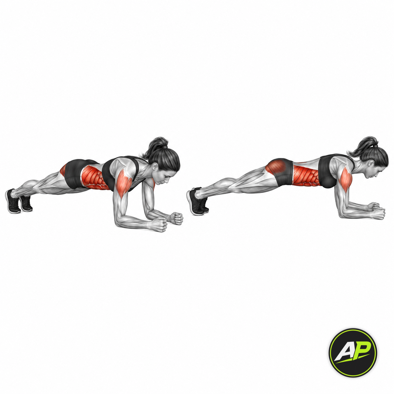 Bodyweight Plank
