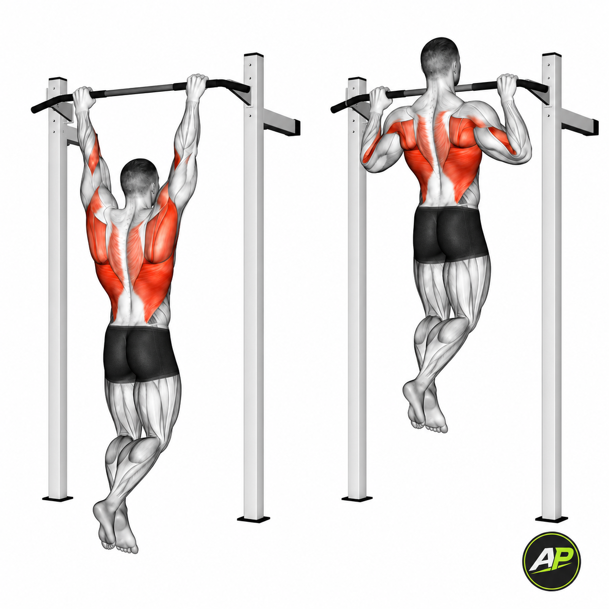 Bodyweight Pull Up