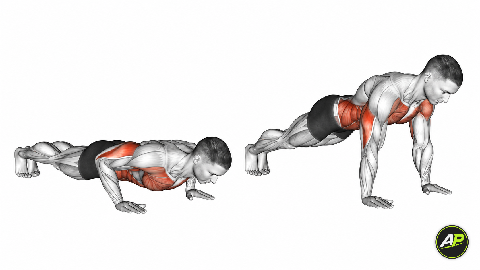 Bodyweight Push Up