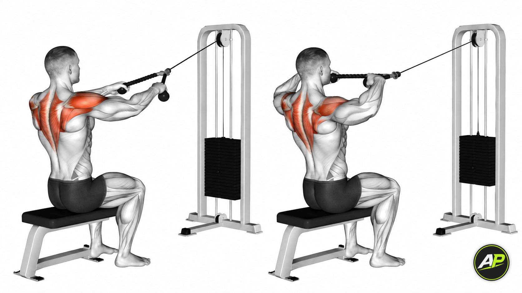 Cable Face Pull