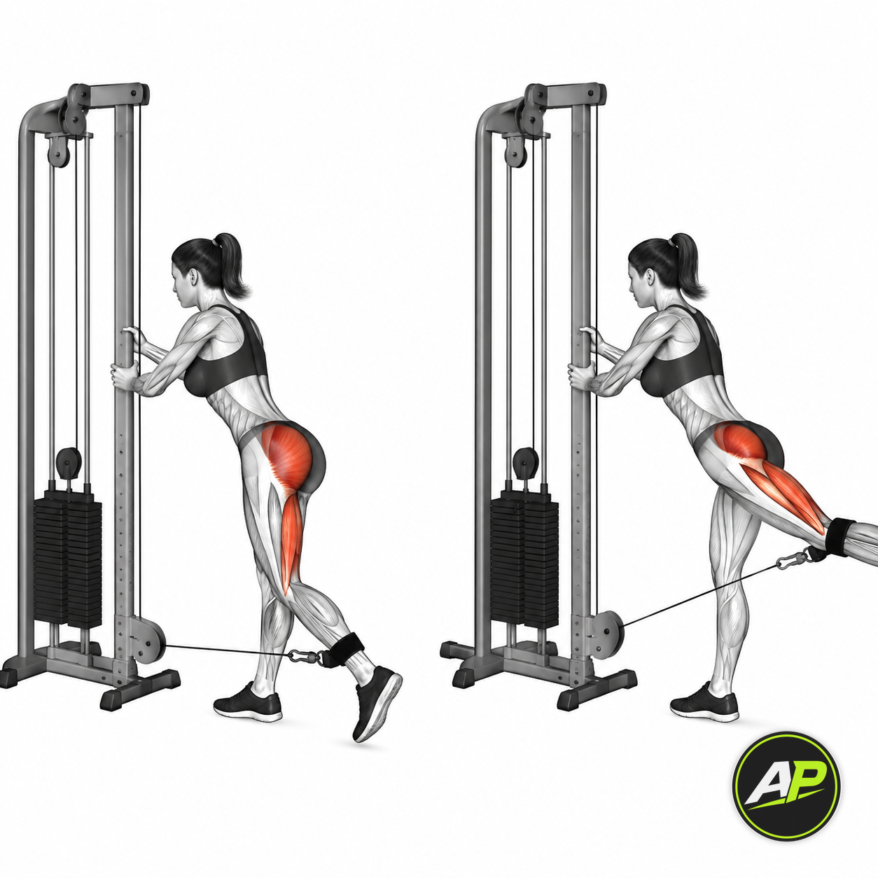 Cable Glute Kickback