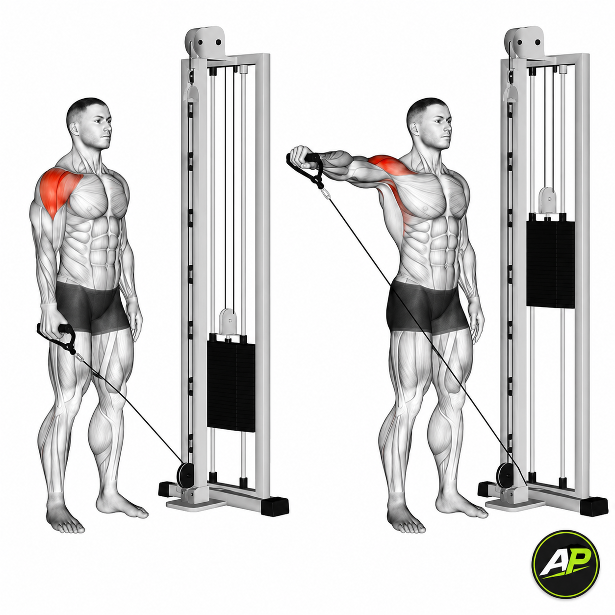Cable Lateral Raise