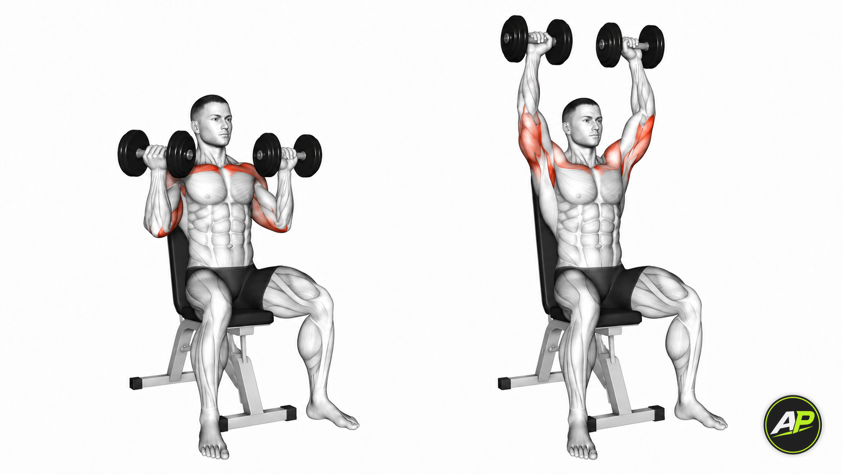 Dumbbell Arnold Press