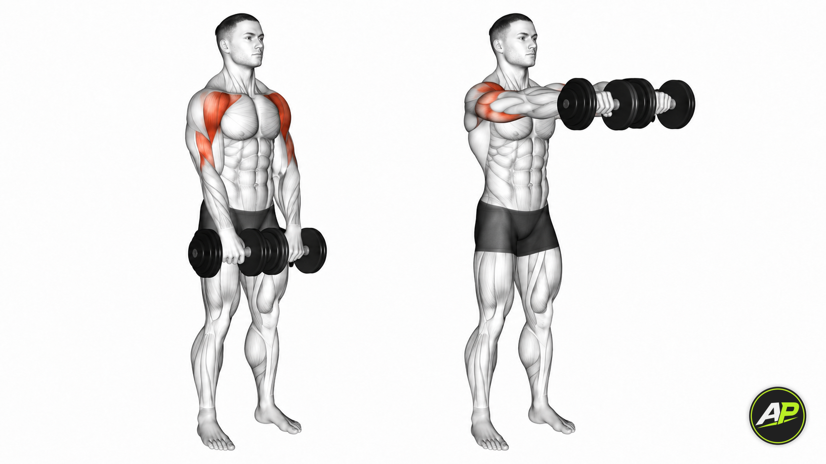 Dumbbell Front Raise