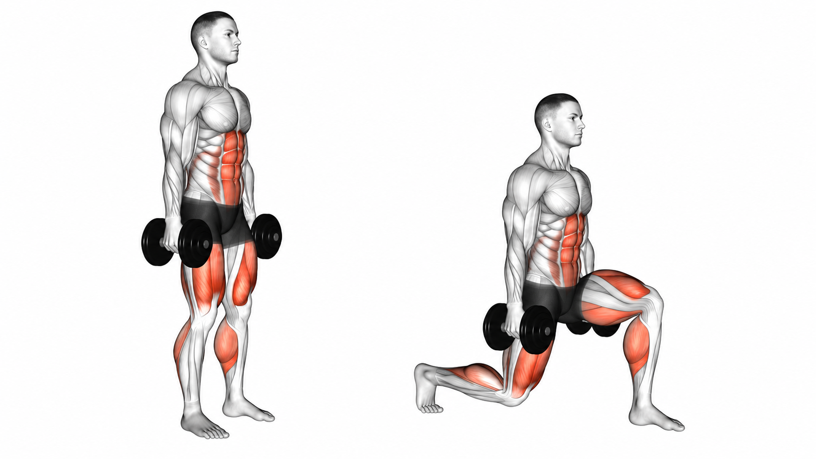 Dumbbell Lunge