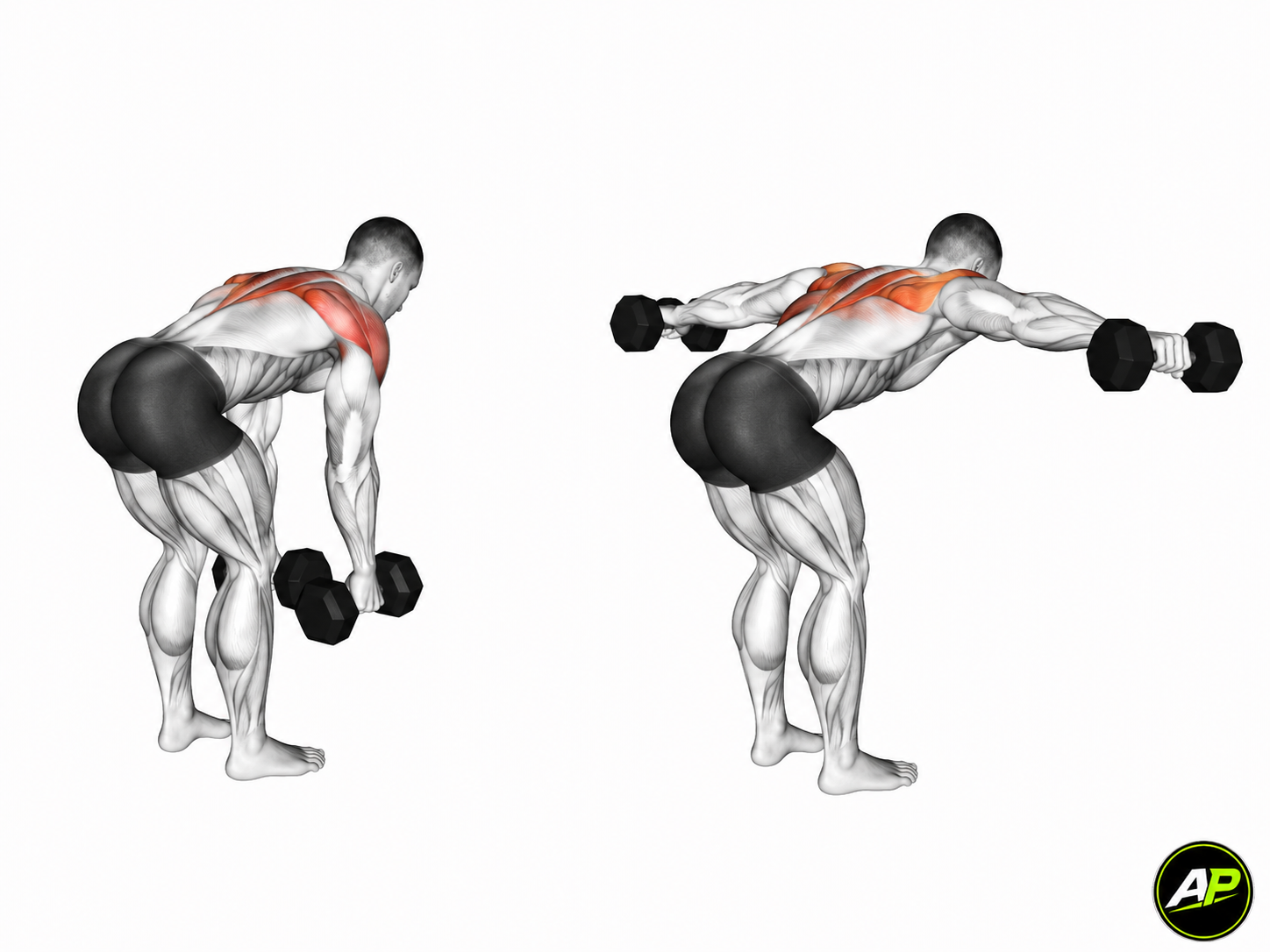 Dumbbell Rear Delt Fly Alternative