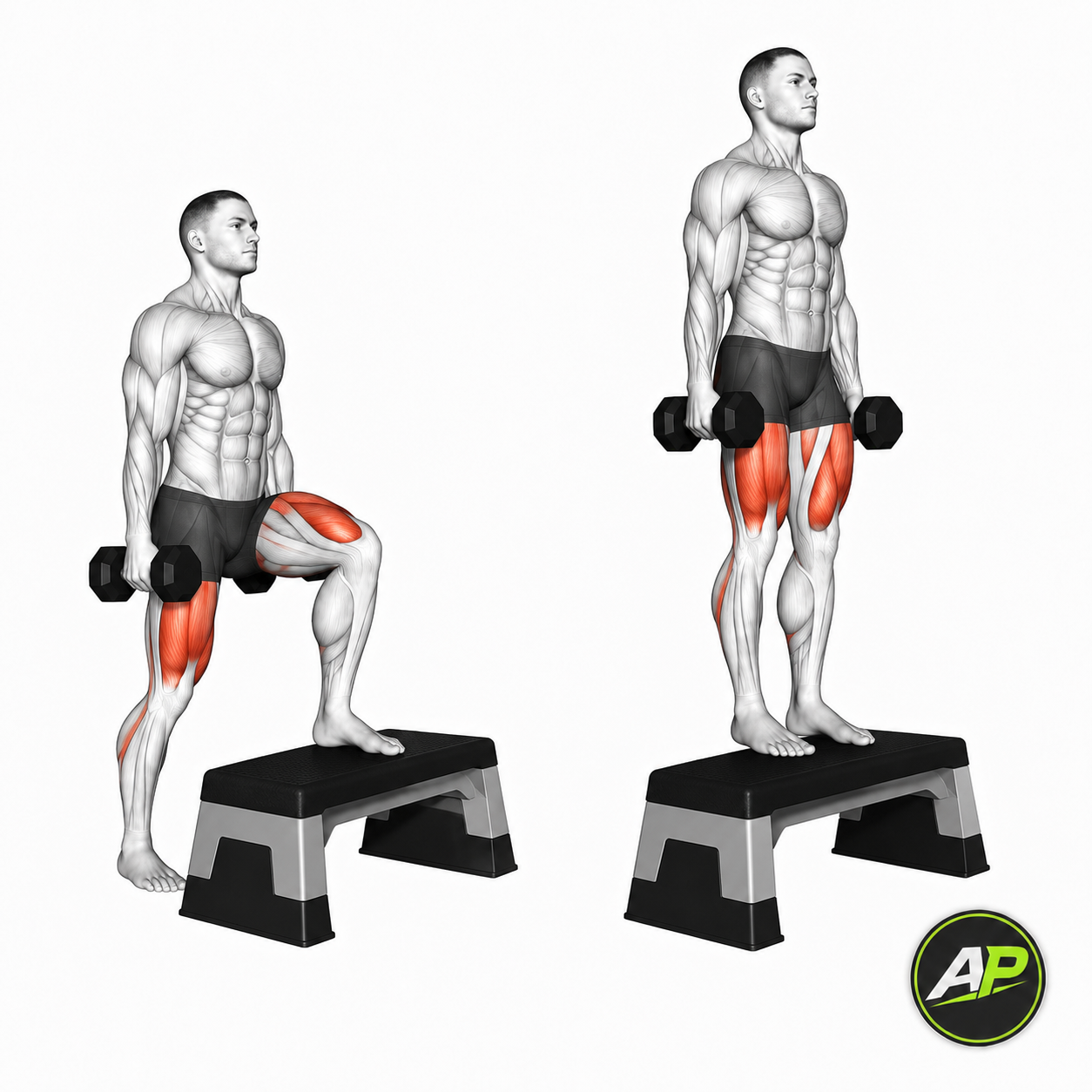 Dumbbell Step Up
