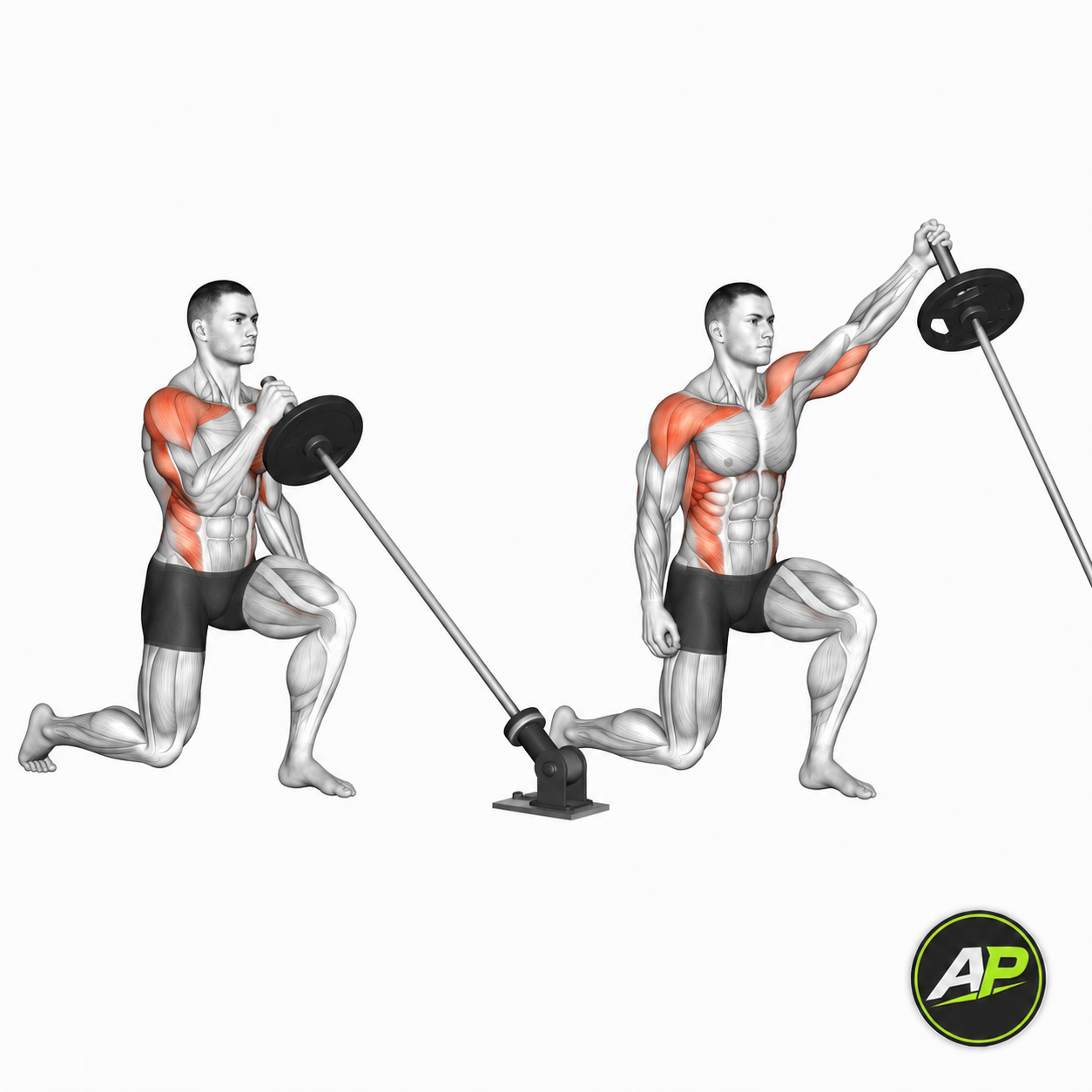 Landmine Half Kneeling Press