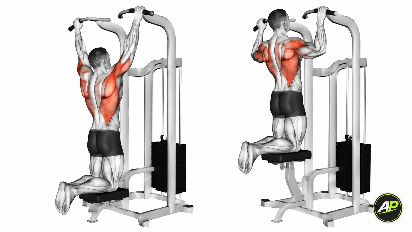 Machine Assisted Pull Up