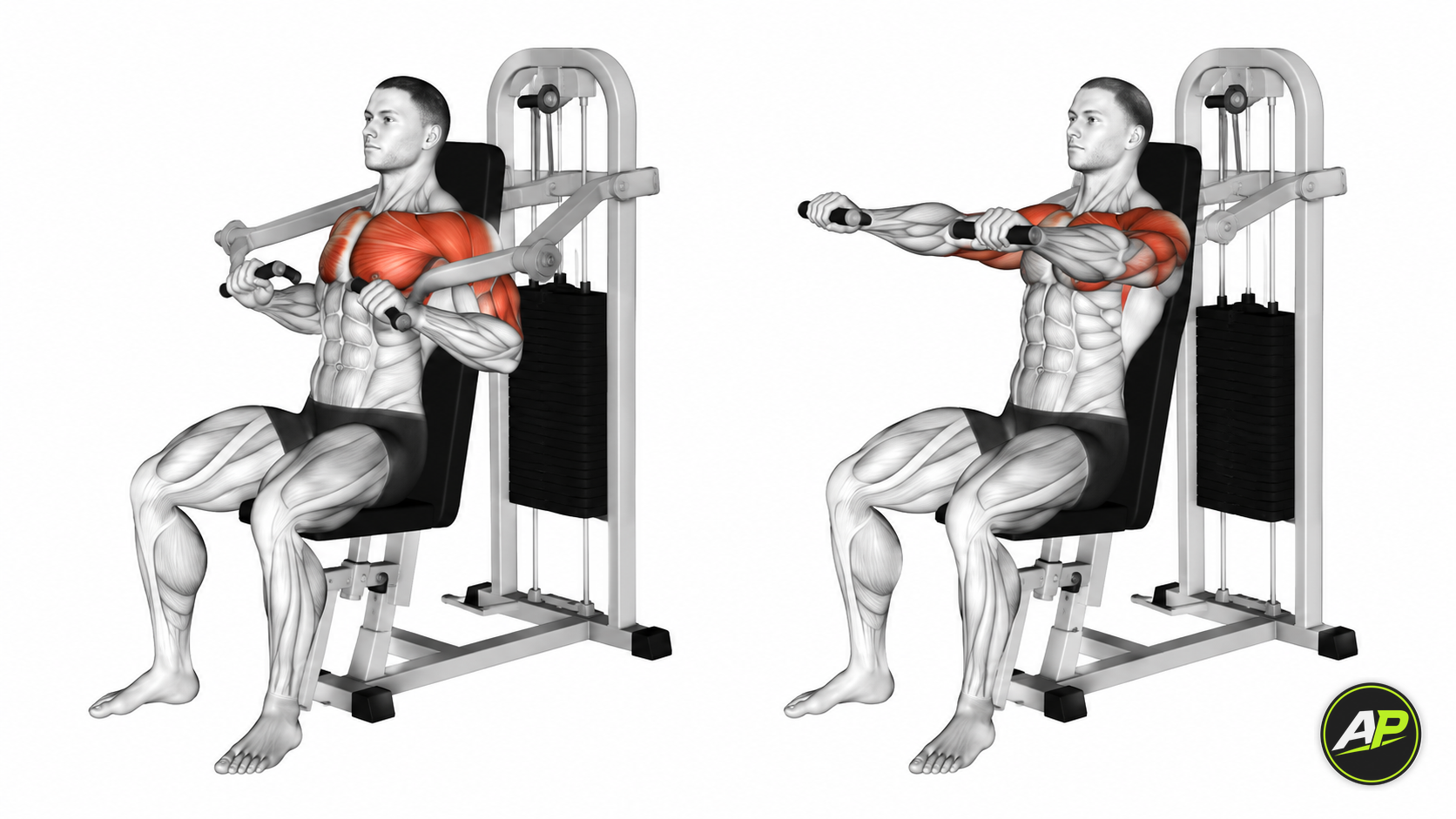 Machine Chest Press