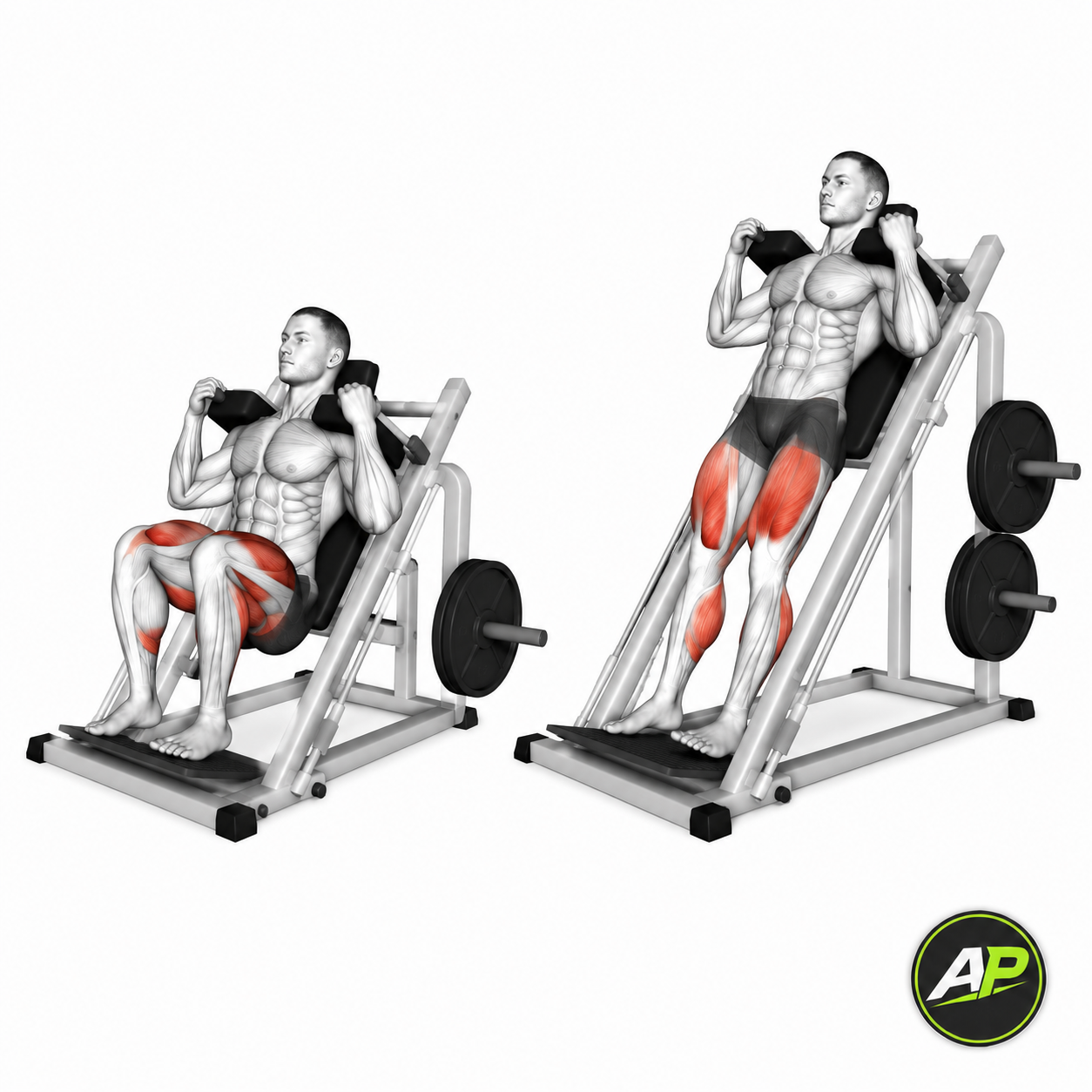 Machine Hack Squat