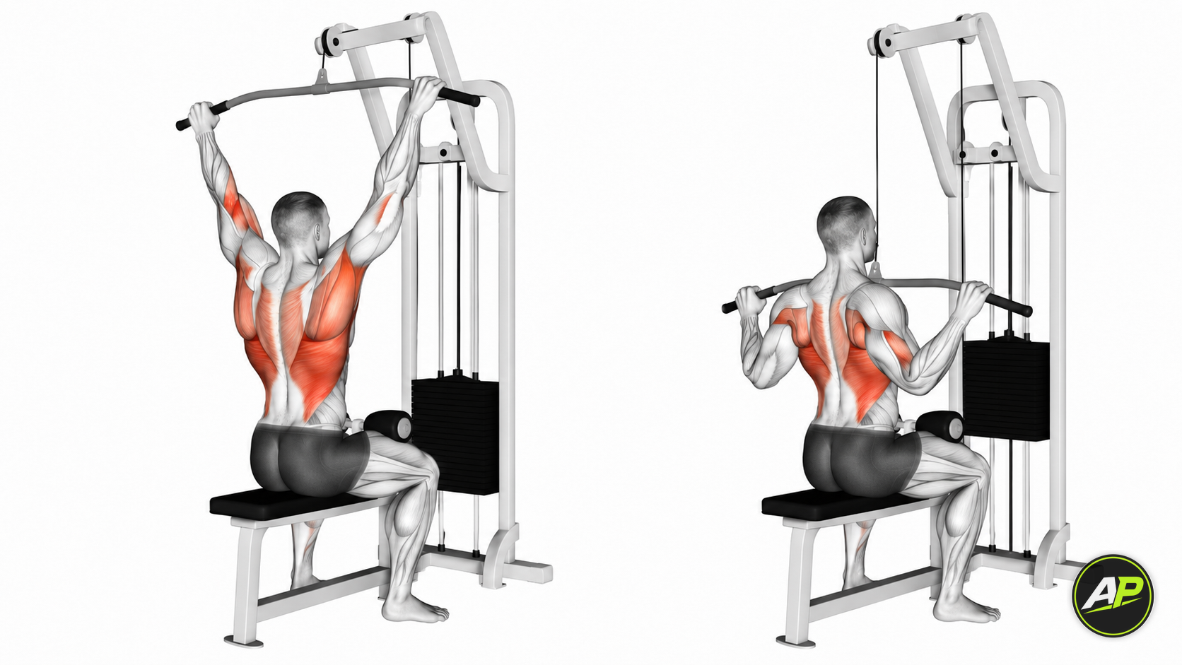Machine Lat Pulldown