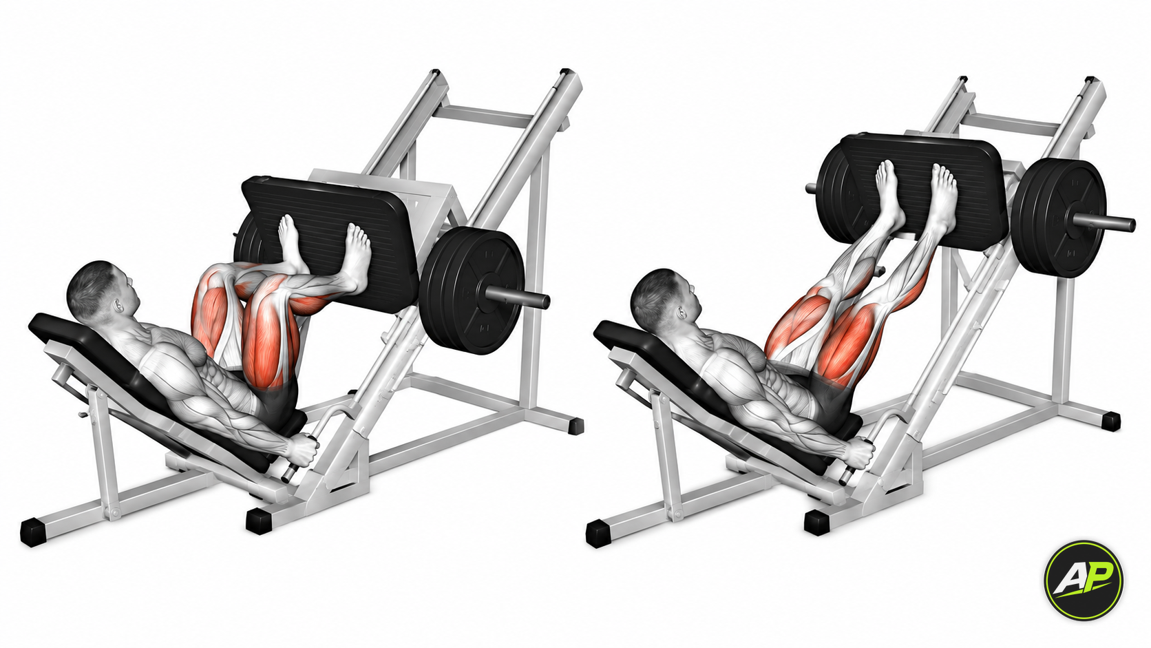 Machine Leg Press