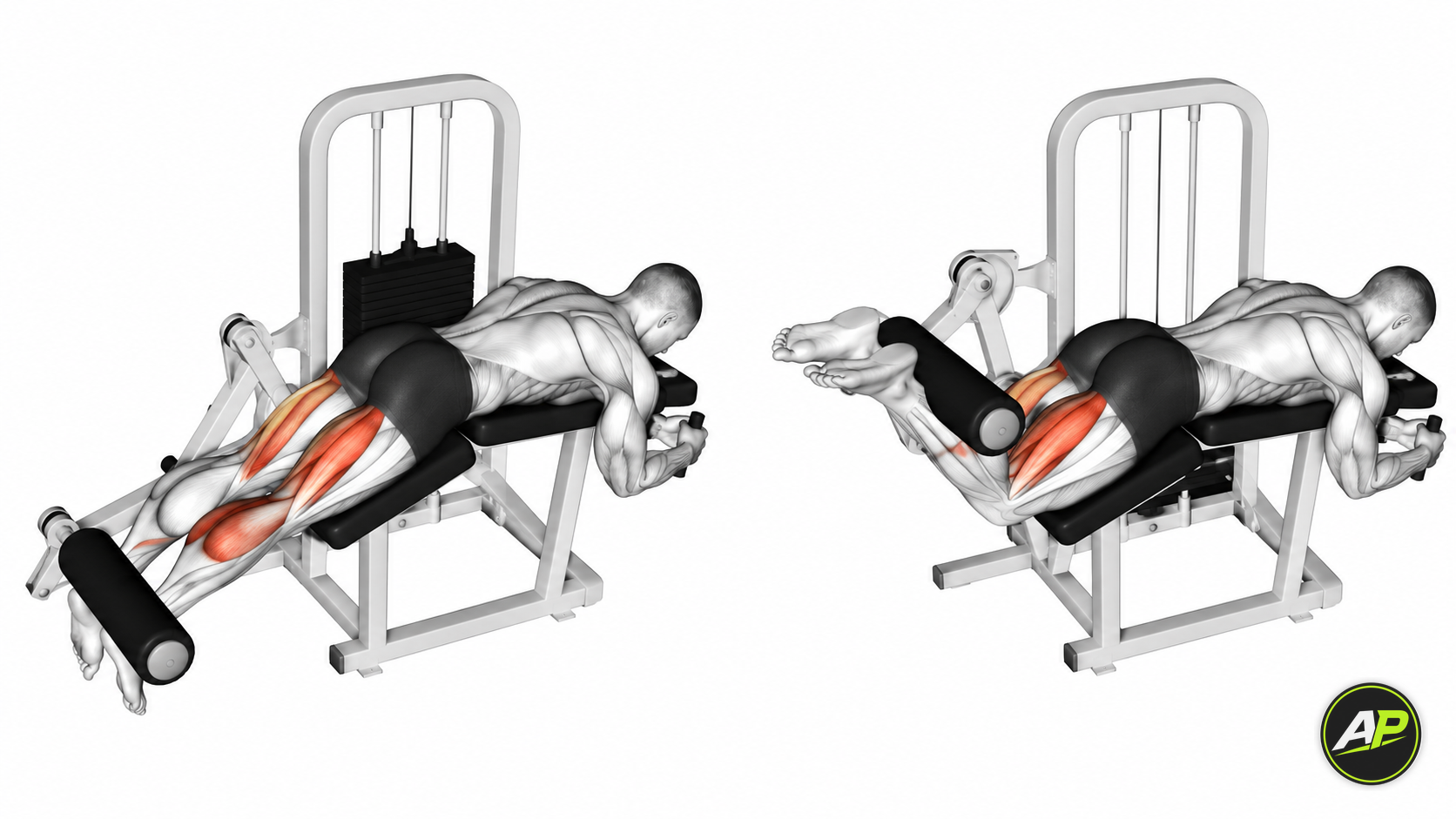 Machine Lying Leg Curl