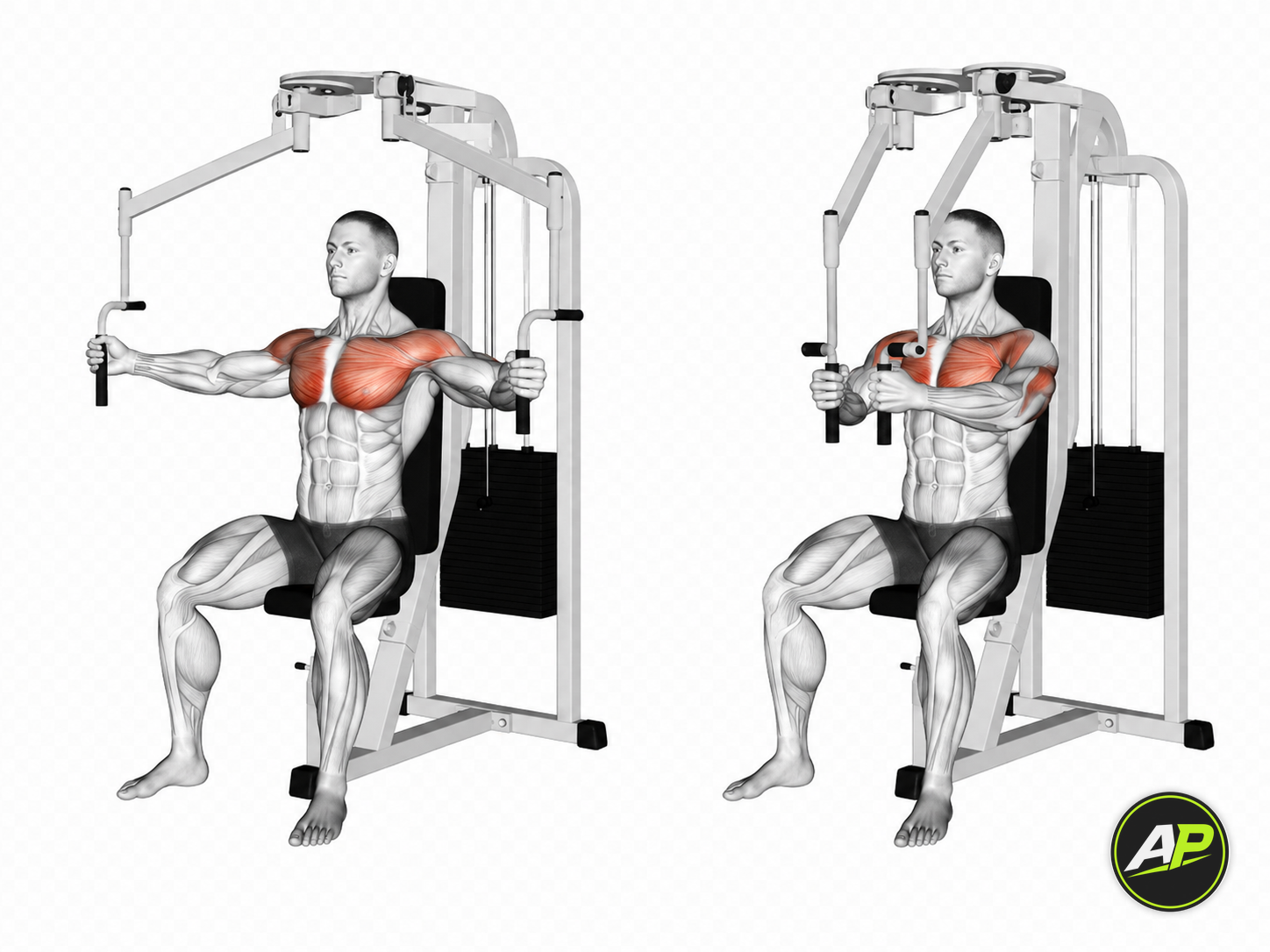 Machine Pec Deck Fly