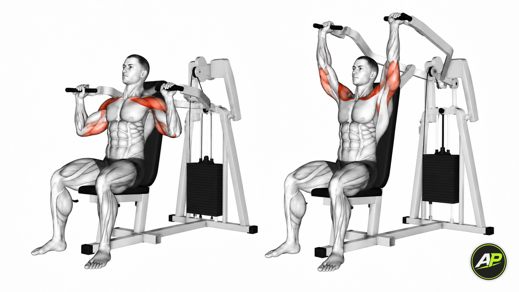 Machine Seated Shoulder Press