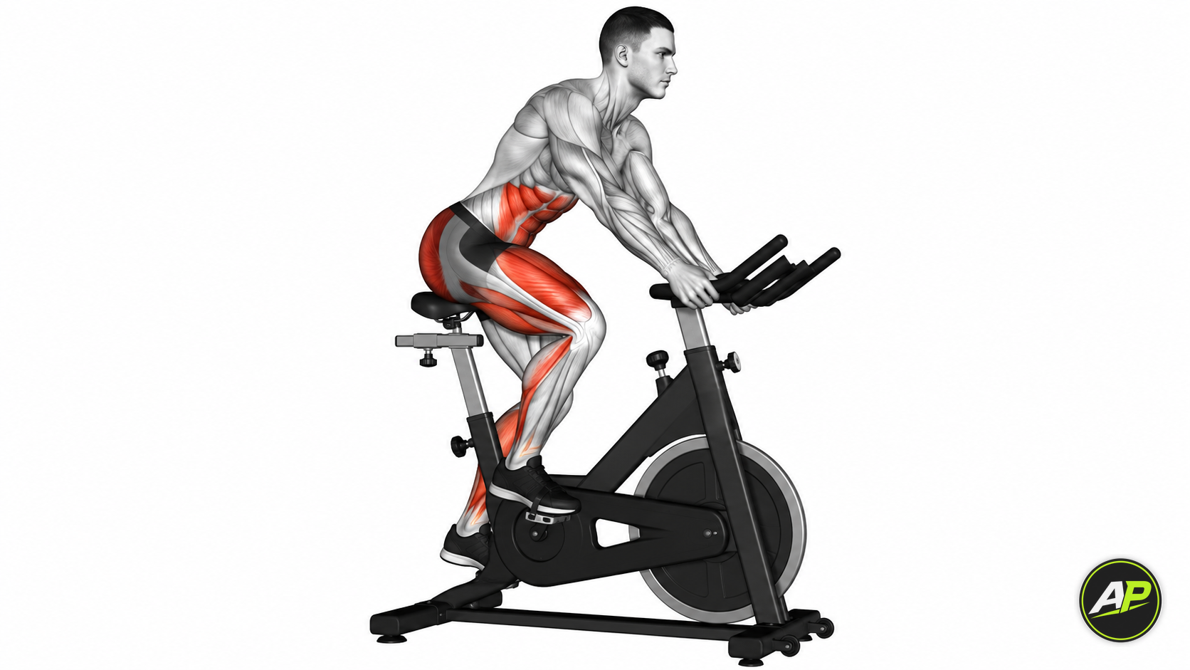 Stationary Bike